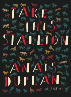 Take This Stallion, by Anaïs Duplan